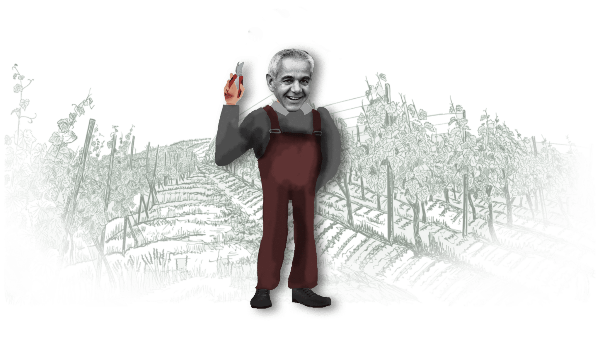 Michel Delhommeau, vigneron au Domaine les Vignes Saint Vincent